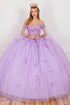 Floral Appliqués Off Shoulder Ball Gown for Women, Sizes 4/XS-16/3X